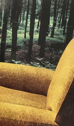 golden armchair collage